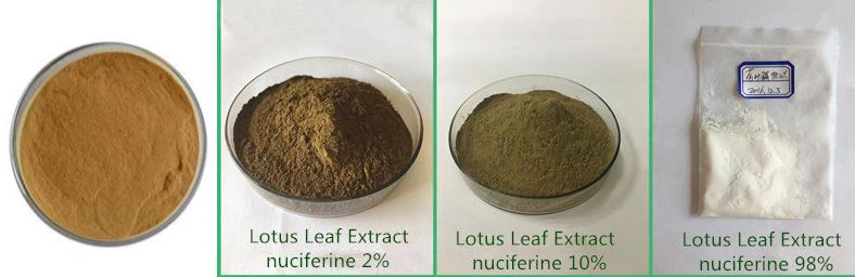 lotus leaf extract powder