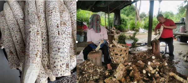 Bromelain production process