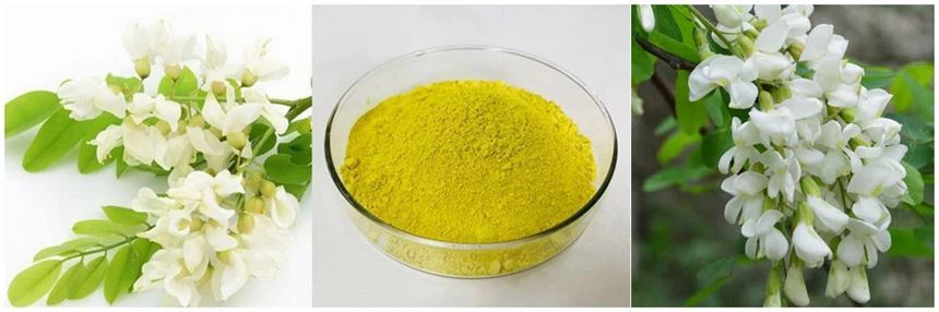 Sophora Japonica Extract 1