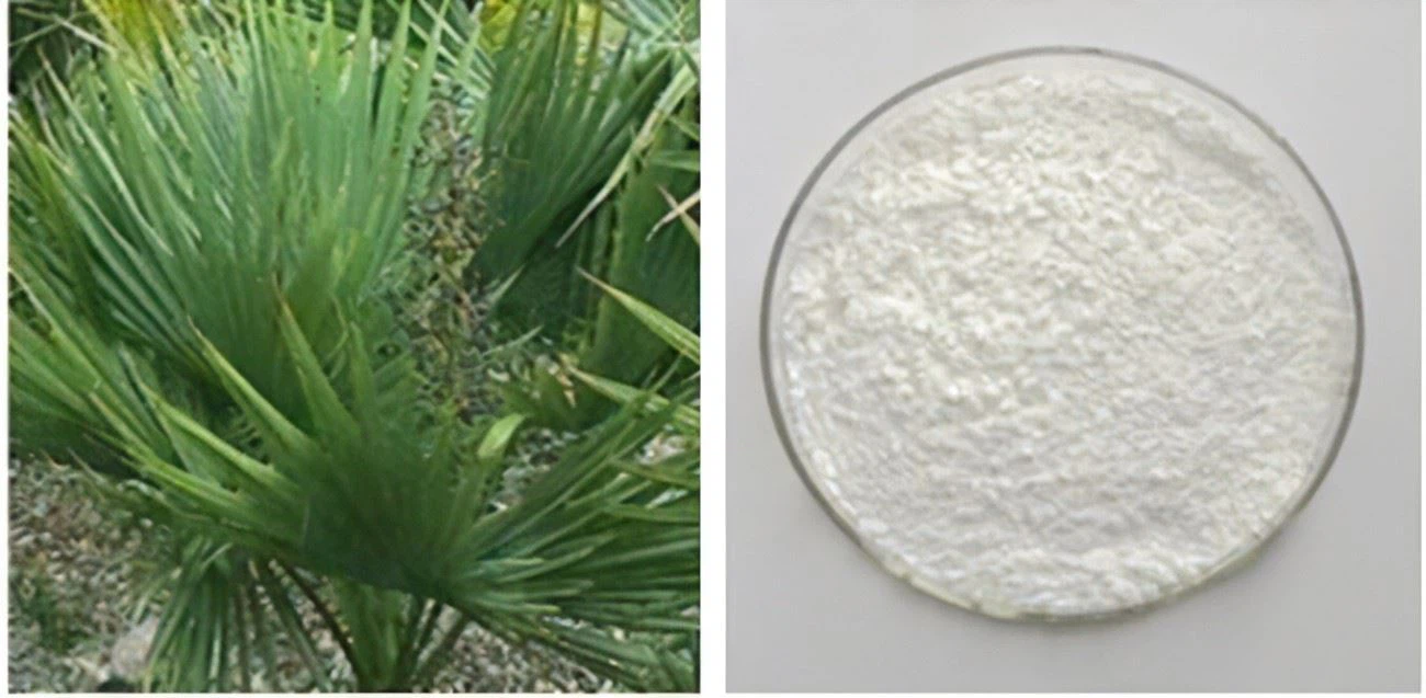 Serenoa Repens extract powder Serenoa Repens extract powder