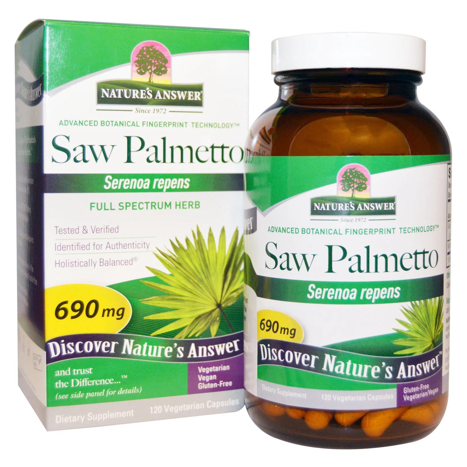 Saw Palmetto Extract1 Saw Palmetto Extract1