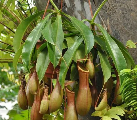 c8177f3e6709c93dbfb0dc74973df8dcd00054f7