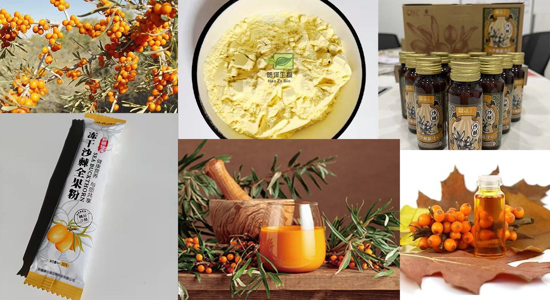 Sea buckthorn products show Sea buckthorn products show