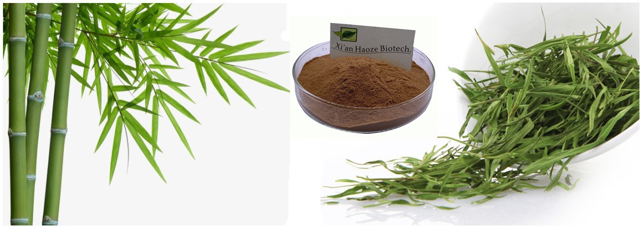 bamboo leaf extract bamboo leaf extract