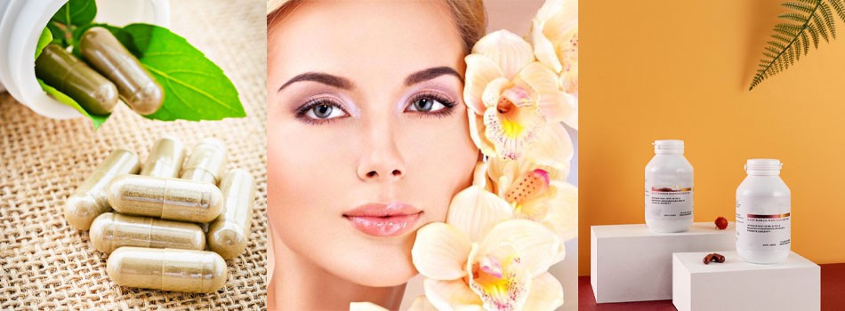 bamboo silica bamboo silica