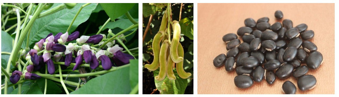 16987474807641 16987474807641