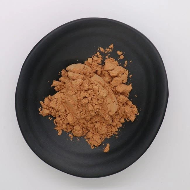 Wholesale Raw Powder Spine Date Seed Powder Wild Jujube Seed Powder