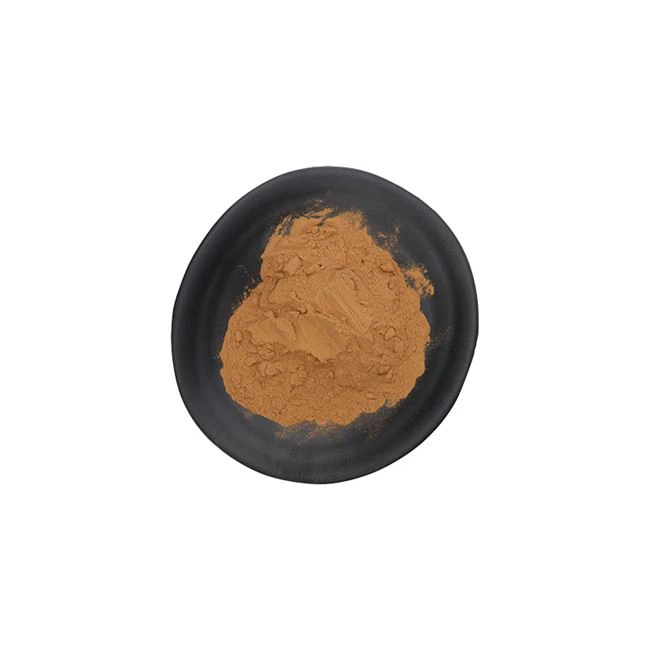 Supply Schisandra Chinensis Extract Powder/ Schisandra Powder with High Quality