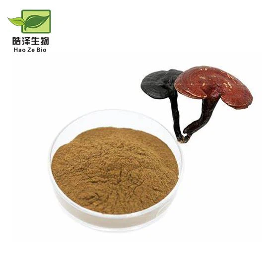Ganoderma Lucidum Extract