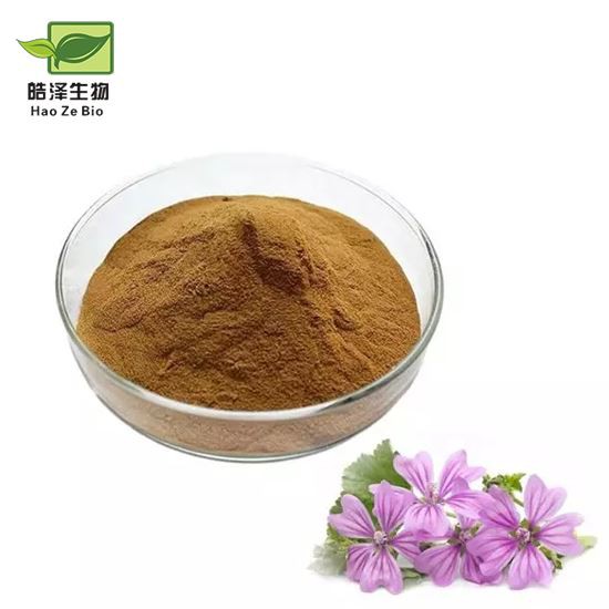 Mallow Extract Powder