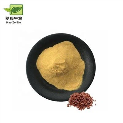 Semen Raphani Powder