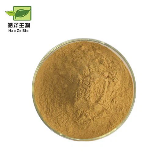 Astragalus Extract Powder