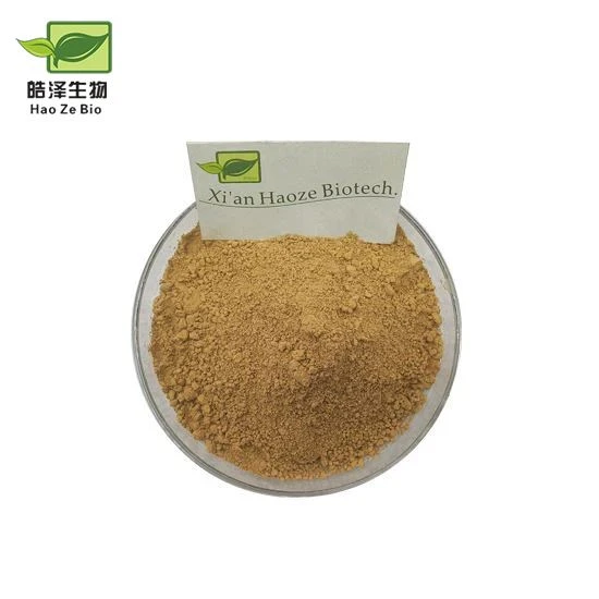 Phellinus Igniarius Extract
