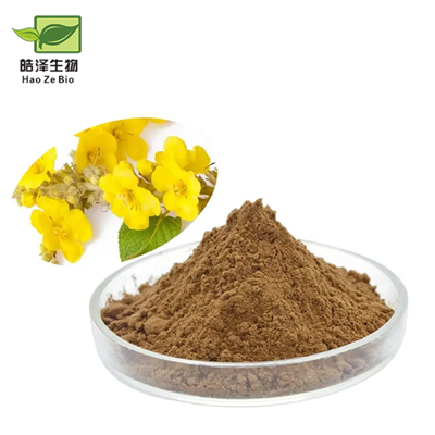 Mullein Flower Extract