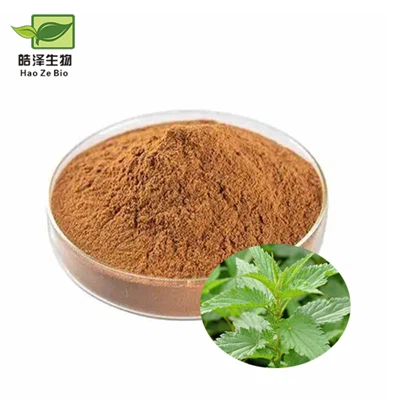 Stinging Nettle Leaves Extract
