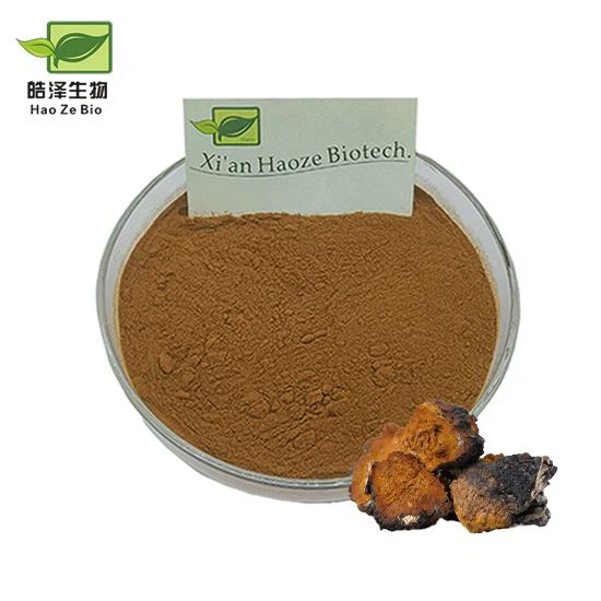 Chaga Mushroom Extract