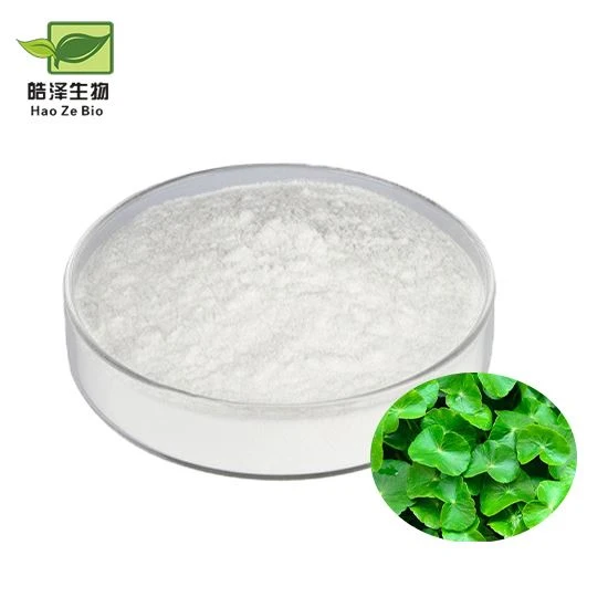 Gotu Kola Extract Powder