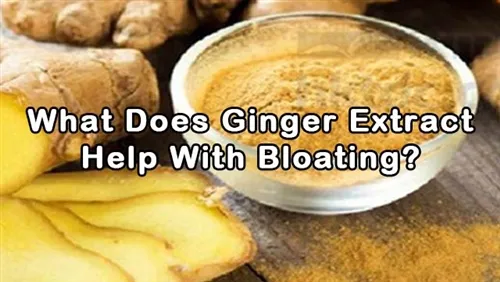 What Does Ginger Extract Help With Bloating?