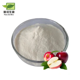 Apple Cider Vinegar Powder Apple Cider Vinegar Powder