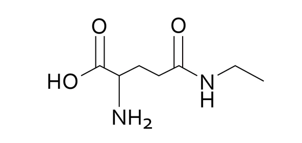 L-Theanine Powder L-Theanine Powder