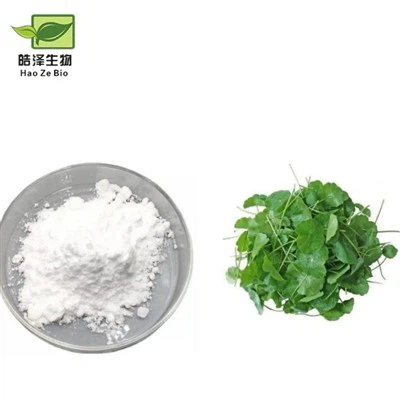 Asiaticoside Powder
