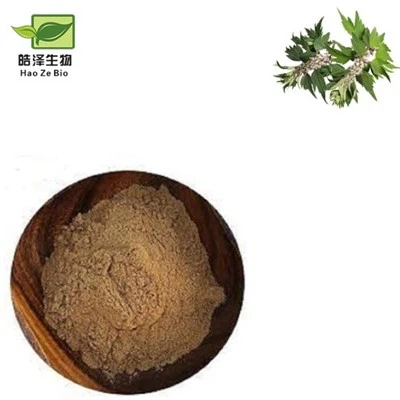 Motherwort Extract Powder