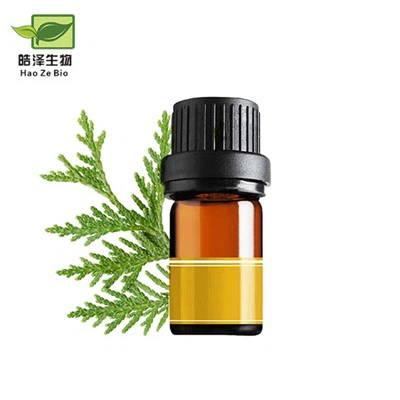 Thuja Occidentalis Leaf Oil